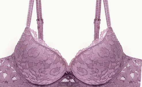 Lace Mesh Hollow Everyday Bra, Comfort & Mature Double Strap Thick Cup Push Up Intimates Bra