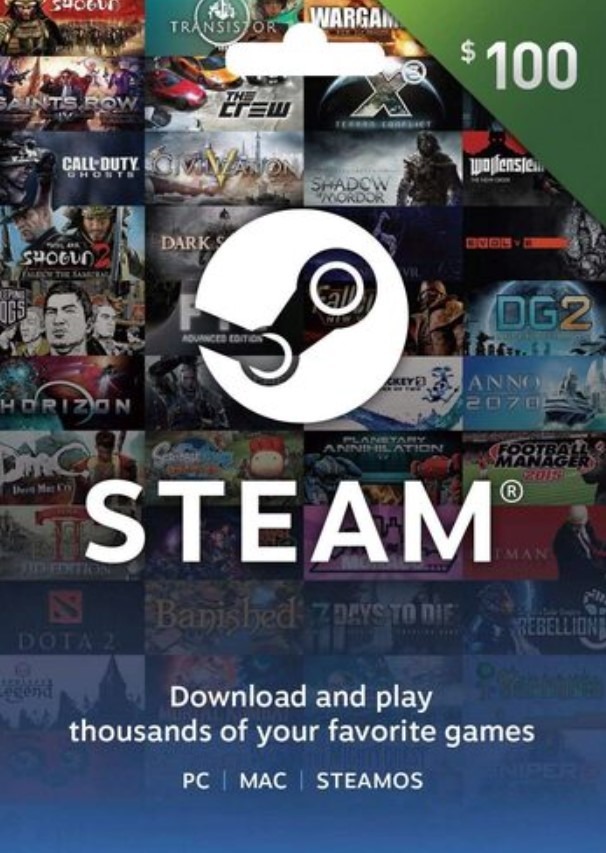 $100 Steam eGift Card Digital Delivery for $95