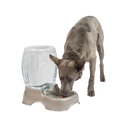 Petmate Pet Cafe Waterer Cat and Dog Water Dispenser $8.16