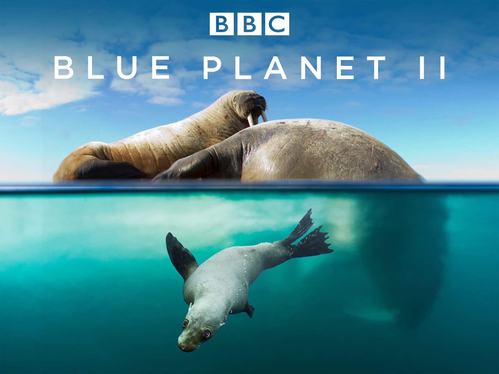 Blue Planet II Season 1 Digital HD $10