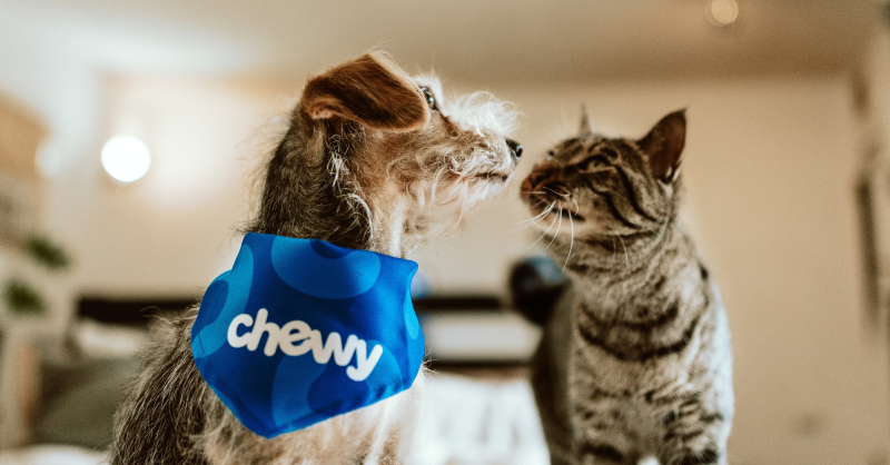 Chewy.com Free $30 e-gift card with $100 purchase