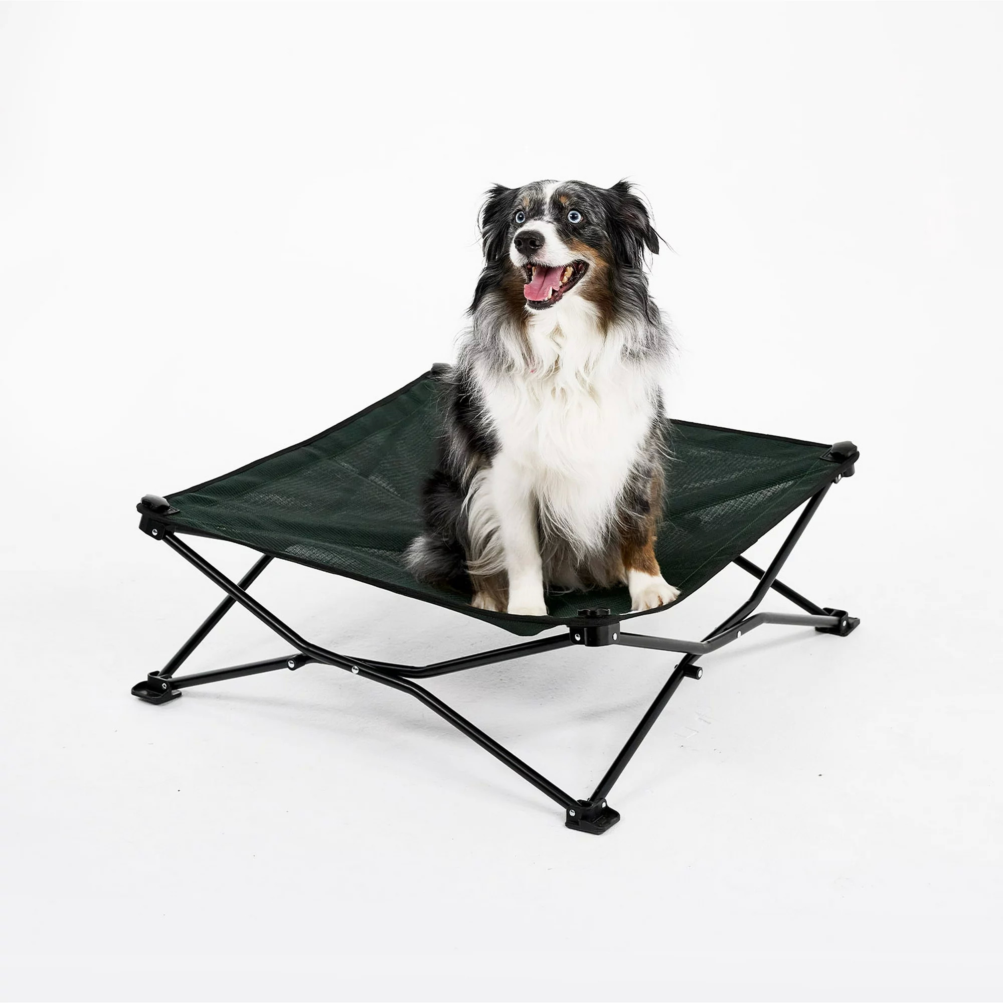 Coolaroo On the Go Foldable Elevated Travel Dog Bed Medium up to 75-lbs from $21.15, King up to 125-lbs from $23.75 Free