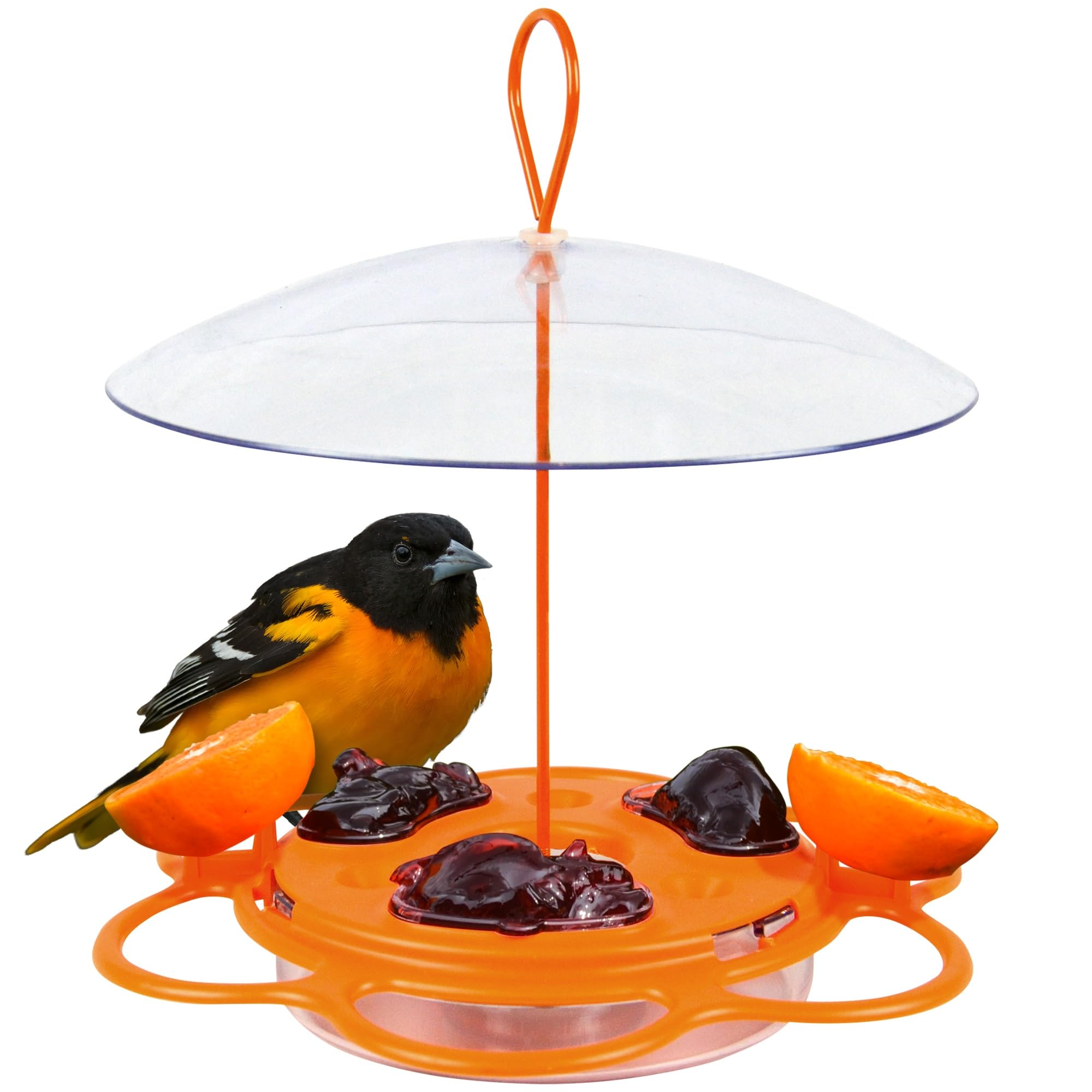 Natures Way All-in-One Oriole Buffet Bird Feeder w/ Removable Bee Guards Jelly Dishes, Built-In Ant Moat $8.74 Free Ship