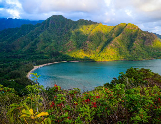 RT Los Angeles to Oahu Honolulu Hawaii or Vice Versa $250 Nonstop Airfares on Major Airlines BE Spring Travel April - Ma