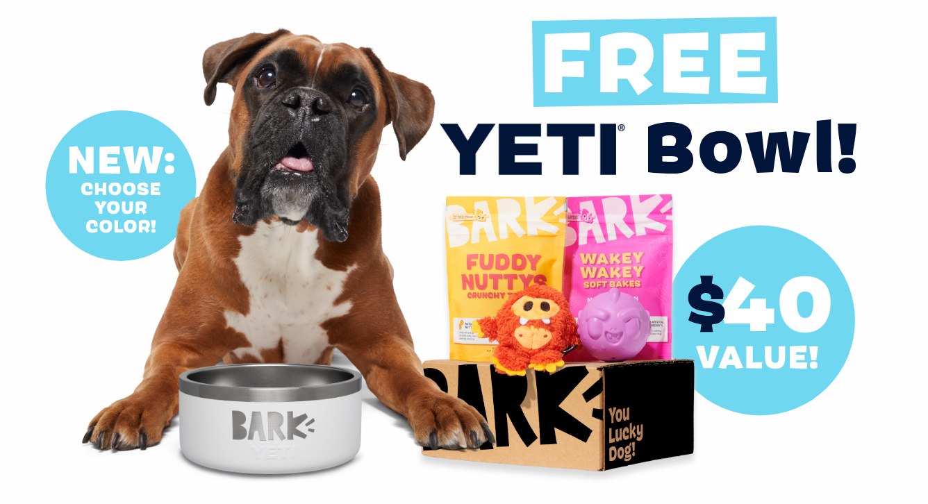 Super Chewer Free YETI Dog Bowl with 6 12 Month Plan