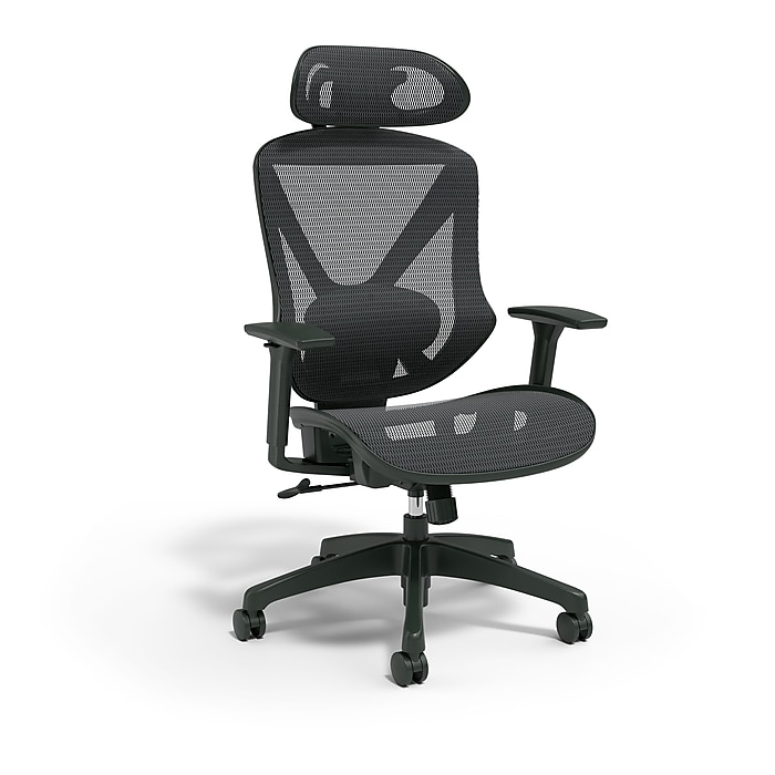 Union Scale FlexFit Dexley Ergonomic Mesh Swivel Task Chair, Black UN56946 - $120